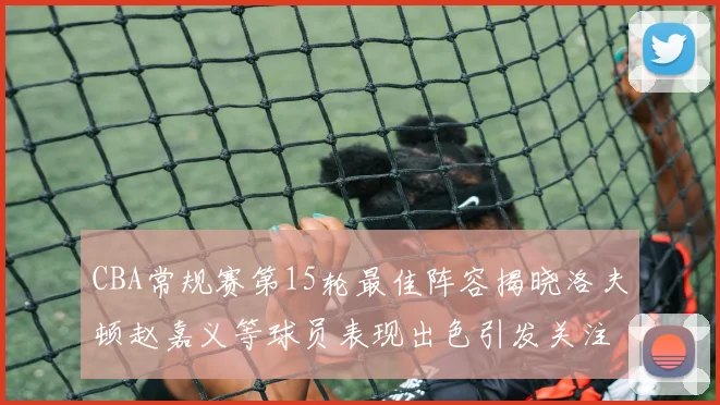 CBA常规赛第15轮最佳阵容揭晓洛夫顿赵嘉义等球员表现出色引发关注